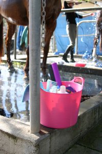 washing-pony-tubtrug.jpg